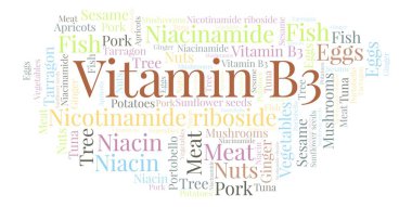 Vitamin B3 kelime bulutu.