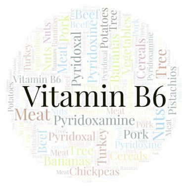 Vitamin B6 daire şekli kelime bulutu.