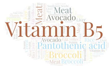 Vitamin B5 kelime bulutu.