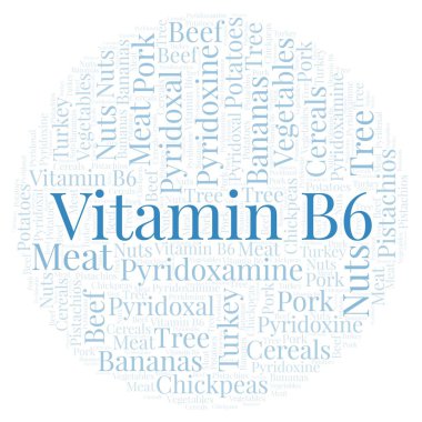 Vitamin B6 daire şekli kelime bulutu.