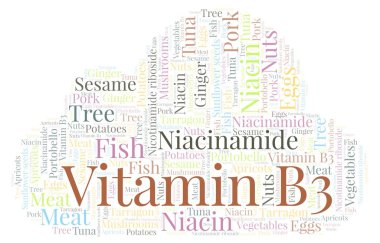 Vitamin B3 kelime bulutu.
