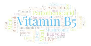 Vitamin B5 kelime bulutu.