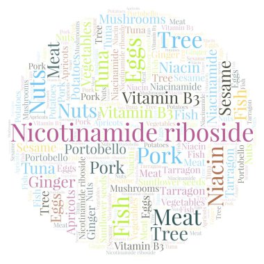Niacinamide riboside bir daire şekli kelime bulutu.