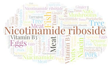 Niacinamide riboside kelime bulutu.
