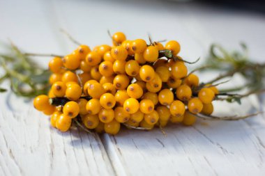 Deniz cehri çilek Beyaz ahşap tablo.