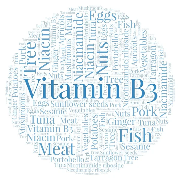 Bir daire şekli word Cloud B3 vitamini.