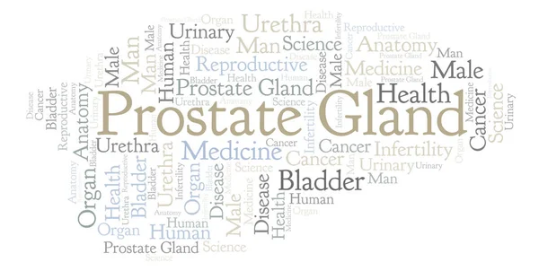 Prostate Gland Nuage Mots Wordcloud Fait Avec Texte Seulement — Photo