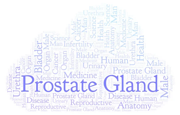 Prostate Gland Nuage Mots Wordcloud Fait Avec Texte Seulement — Photo