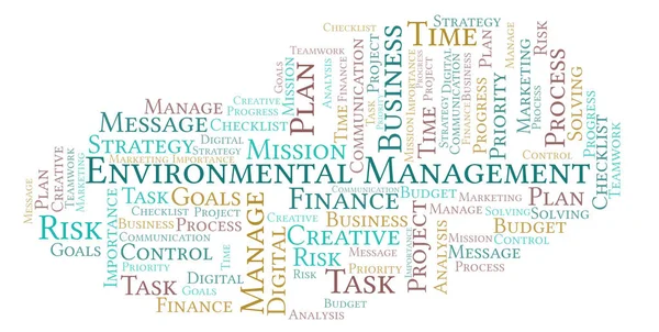 Environmental Management word cloud, made with text only