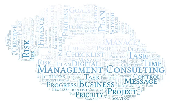 Management Consulting Word Cloud Nur Mit Text — Stockfoto