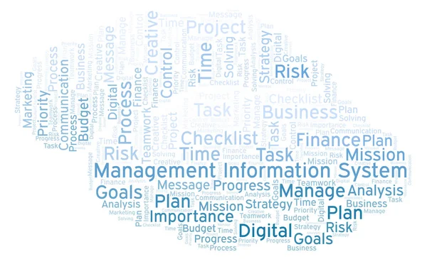 Management Information System word cloud, made with text only