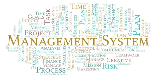 Management System Word Cloud Made Text Only — Stock Photo, Image