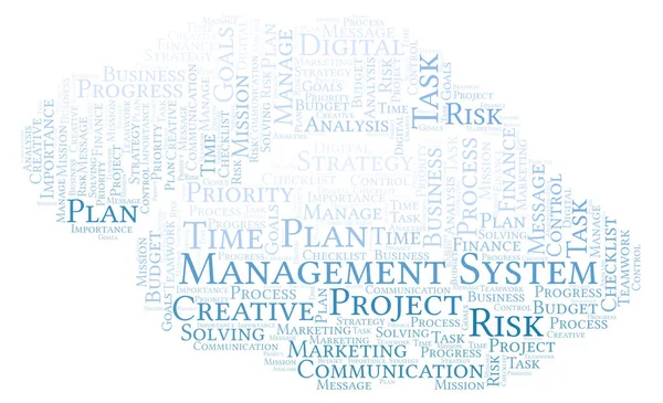 Management System Word Cloud Made Text Only — Stock Photo, Image