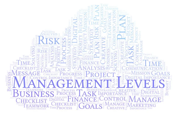 Yönetim düzeyleri kelime bulutu, yalnızca metin ile yapılan