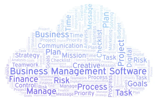 Business Management Software Word Cloud Nur Mit Text — Stockfoto