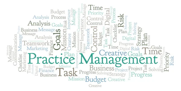 Practice Management word cloud, made with text only