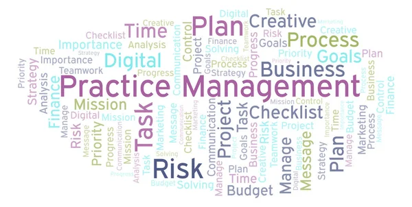 Practice Management word cloud, made with text only