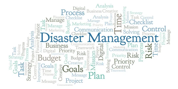 Disaster Management word cloud, made with text only