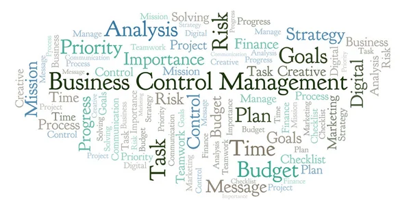 Business Control Management Word Cloud Gjorda Med Endast Text — Stockfoto