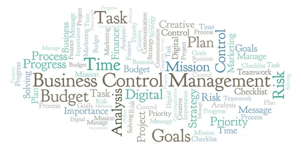 Business Control Management Nuage Mots Fait Avec Texte Seulement — Photo