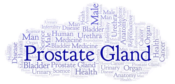 Nuvem Palavras Próstata Gland Wordcloud Feito Apenas Com Texto — Fotografia de Stock