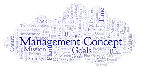 Management Konzept Word Cloud Nur Mit Text — Stockfoto