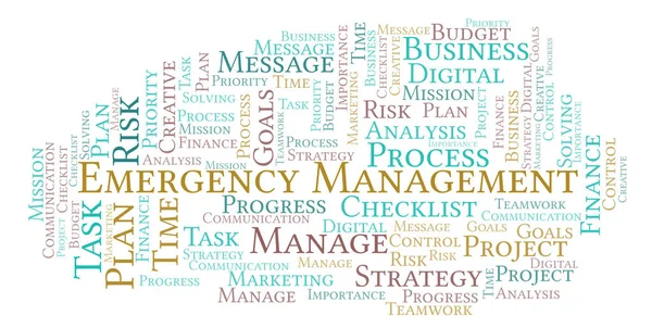 Emergency Management word cloud, made with text only