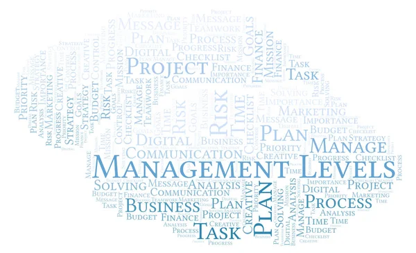 Management Ebenen Word Cloud Nur Mit Text — Stockfoto