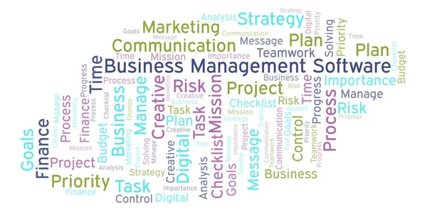 Business Management Software Word Cloud Nur Mit Text — Stockfoto