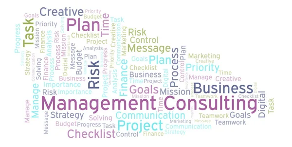 Management Consulting word cloud, made with text only