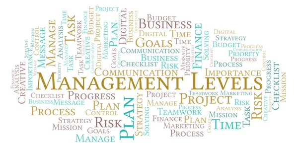 Management Ebenen Word Cloud Nur Mit Text — Stockfoto