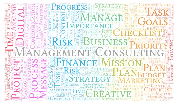 Management Consulting Nuage Mots Fait Avec Texte Seulement — Photo