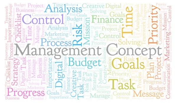 Management Konzept Word Cloud Nur Mit Text — Stockfoto