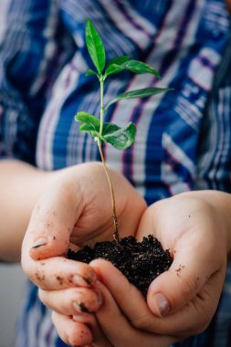 Ellerde bitki - yeni yaşam ve güvenlik kavramı