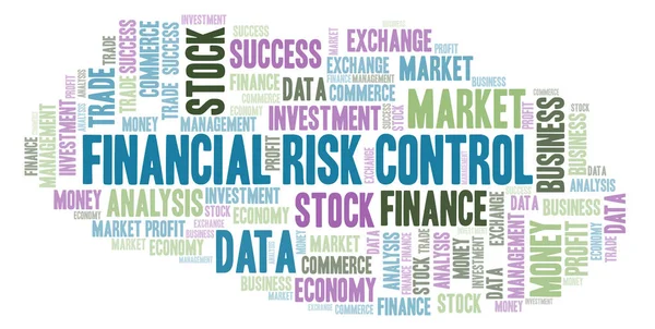 Finanční Kontrole Rizik Slovo Mrak Wordcloud Pouze Text — Stock fotografie