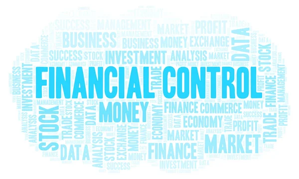 Finanční Kontrolu Slovo Mrak Wordcloud Pouze Text — Stock fotografie