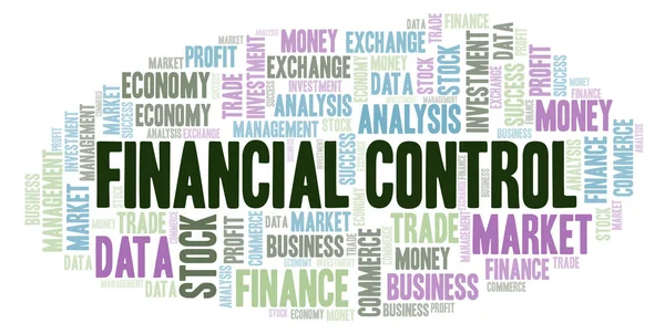 Financial Control Word Cloud Wordcloud Made Text Only — Stock Photo, Image