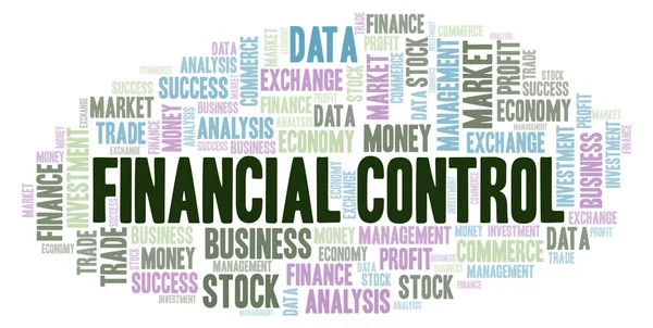 Financiële Controle Woord Wolk Wordcloud Gemaakt Met Alleen Tekst — Stockfoto