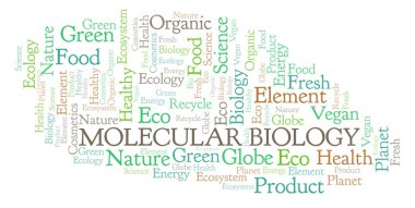 Moleküler Biyoloji kelime bulutu. Yalnızca metin ile yapılan Wordcloud.