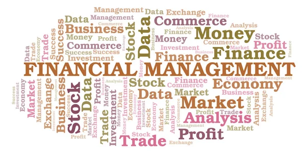 Finansiella Förvaltning Word Cloud Wordcloud Gjorda Med Endast Text — Stockfoto