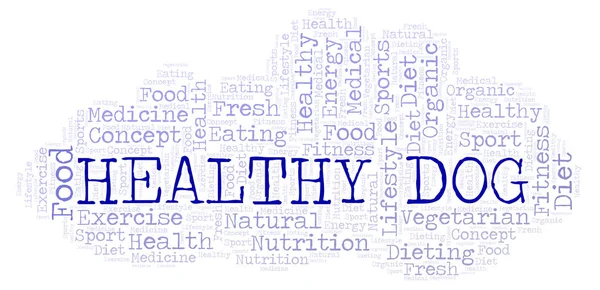 Healthy Dog Word Cloud Wordcloud Made Text Only — Stock Photo, Image