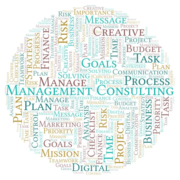 Management Consulting Word Cloud Nur Mit Text — Stockfoto