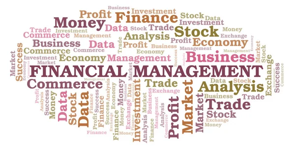 Gestion Financière Word Cloud Wordcloud Fait Uniquement Avec Texte — Photo