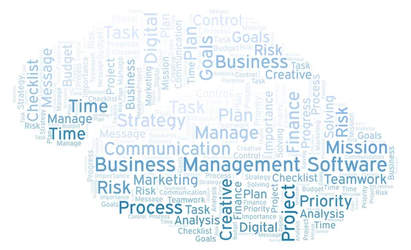 Business Management Software Word Cloud Gjorda Med Endast Text — Stockfoto