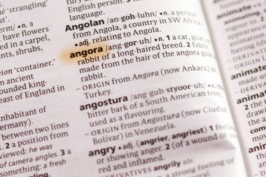 Marker ile vurgulanan sözlüğe sözcük veya tümcecik Angora.