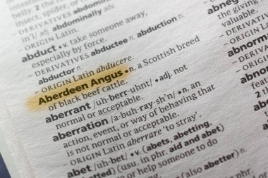 Sözcük veya tümceciğin Aberdeen Angus marker ile vurgulanan bir sözlük.