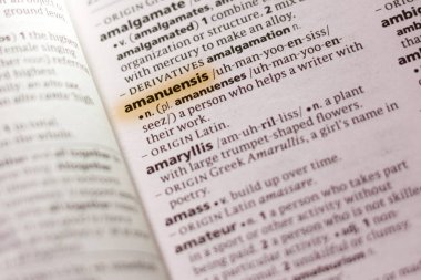 Sözcük veya tümceciğin marker ile vurgulanan bir sözlük Sekreteri.