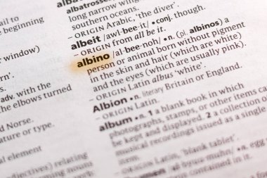 Sözcük veya tümceciğin Albino marker ile vurgulanan bir sözlük.