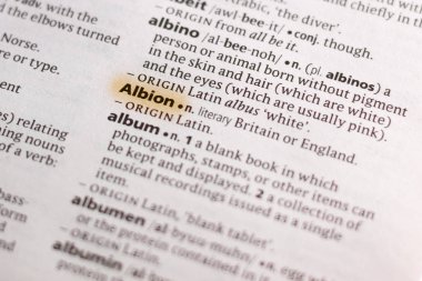 Marker ile vurgulanan sözlüğe sözcük veya tümcecik Albion.