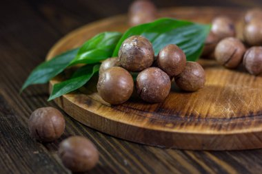 Taze ve olgun macadamiya fındık ahşap tahta üzerinde